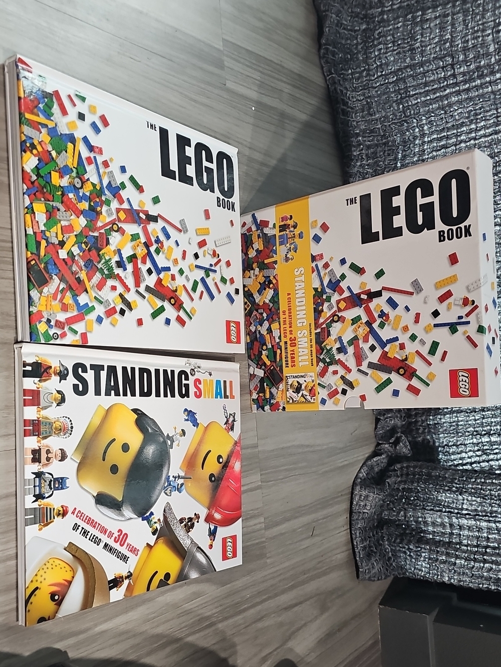 LEGO Book Set (White) — The LEGO Book & Standing Small